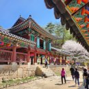 계성리석등 | 춘천의 불교