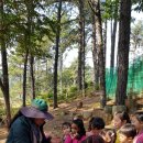 금마어린이집 이미지