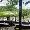 아이와 담양 당일치기 태교여행 1 : 국수거리 맛집 원조대나무국수 오리배 체험 후기 일정 추천