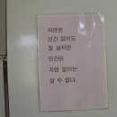 대안에너지 Daum카페