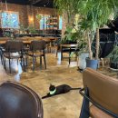 카페아리 이미지