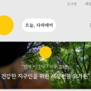 매일 20분 온라인 요가 챌린지 다라데이 비용 할인방법 후기