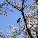 컴퓨터 왕초보 이미지