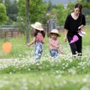 아라곤충 이미지