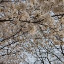 동대구로 이미지