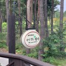 마이앤트세라 이미지