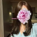수아하다평내 네이버블로그
