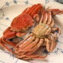 미야네 대게 이미지