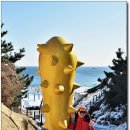 한섬감성바닷길 이미지