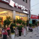 타이베스트