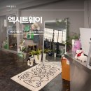 137 | 성심당 옆에 이런 곳이 생겼다고? 대전 빈티지샵 추천 찐 후기 엑시트웨이