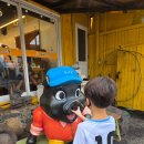 흑돼지고을해비치점 | 제주해비치 호텔 리조트 주위 맛집 흑돼지 고을 전복 새우구이 내돈내산후기