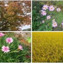 별내체험마을 이미지