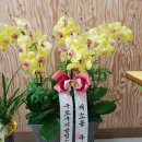 지구촌지역아동센터 Daum카페