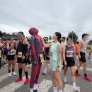 동아목욕탕 | 2025 동아 경주국제마라톤 대회 | 데드풀과 함께한 첫 풀코스 참가 후기