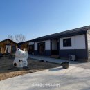 행복 | 네코스테이 강릉 고양이있는숙소 2｜캣카페 고양이 종류 삼색이 집사체험 찐행복 후기💓