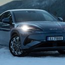 보쉬대훈카써비스 | " 요즘 진짜 많이 보이네" BYD 씨라이언7, 이 정도면 살 만할까?