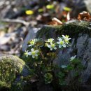 수동중학교 이미지