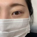 태평1동주민센터 | 민낯에 생기를 불어넣은 태평역 속눈썹 연장 모도리브로우 후기