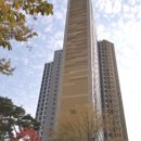 김포금빛초등학교 이미지