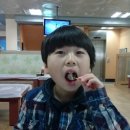 학리초장 이미지