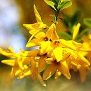 하남114공인중개사사무소 이미지