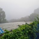 산속의 아침 이미지