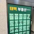 태백부동산중개사무소 이미지