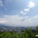 푸른하늘 이미지