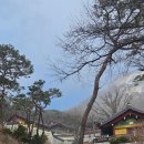 두꺼비 | 강화도 석모도 보문사&amp; 근처 맛집 두꺼비식당 후기