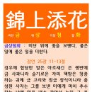 금상첨화 Daum카페