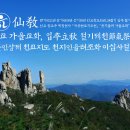 선교로 이미지