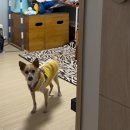 분일이와친구들 Daum카페