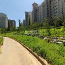 아리수로 97길 이미지