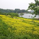 신흥근린공원 | 익산여행# 신흥근린공원 꽃바람정원 신흥저수지 봄꽃 둘레길 산책로 방문후기