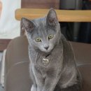 소생안마원 이미지