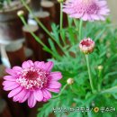 오늘(화요일)밤 9시 달리기할까요 이미지