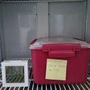 두배한의원 이미지