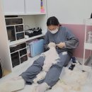 로얄캣 | 서울 강남에 있는 고양이 미용실 로얄캣 다녀왔습니다