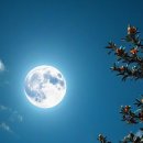 규창이네 이미지