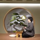 스테이모리 이미지