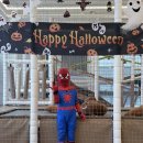 율하4로R | 자네 여기 가봤나? 똥쟁이키즈카페, 인원 무제한이야 안가고 뭐하나