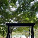 여명로25번길 이미지