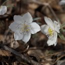 쉼터(만남) 이미지