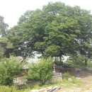 초록별민박 이미지