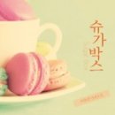 슈가박스 이미지