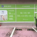 리피부관리실(알포유에너지테라피)