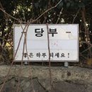 월광가든 | 26년 2월