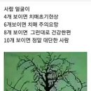 시천교 이미지