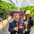 남성 초등학교 병설 유치원 이미지